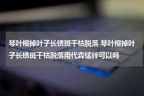 琴叶榕掉叶子长锈斑干枯脱落 琴叶榕掉叶子长锈斑干枯脱落用代森锰锌可以吗