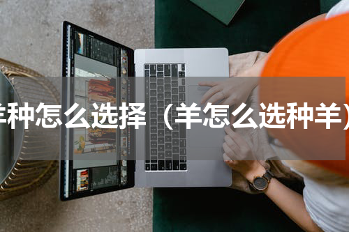 羊种怎么选择（羊怎么选种羊）