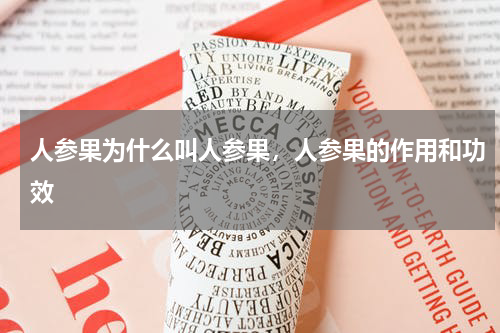 人参果为什么叫人参果，人参果的作用和功效