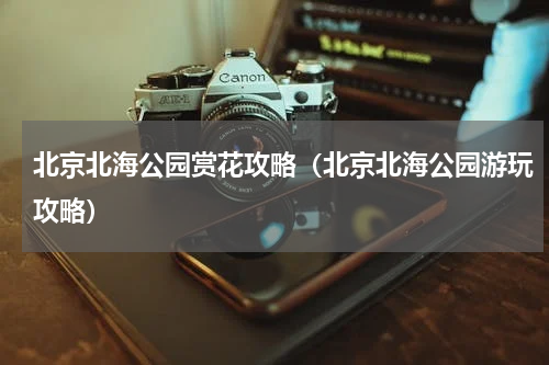 北京北海公园赏花攻略（北京北海公园游玩攻略）