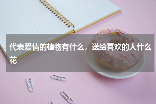 代表爱情的植物有什么，送给喜欢的人什么花
