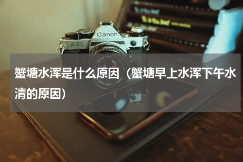 蟹塘水浑是什么原因（蟹塘早上水浑下午水清的原因）