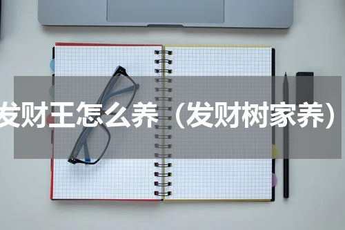 发财王怎么养（发财树家养）