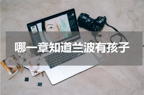 哪一章知道兰波有孩子