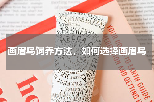 画眉鸟饲养方法，如何选择画眉鸟