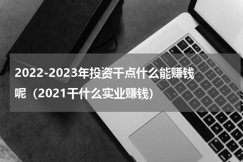 2022-2023年投资干点什么能赚钱呢（2021干什么实业赚钱）