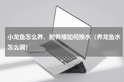 小龙鱼怎么养，附养殖如何换水（养龙鱼水怎么调）