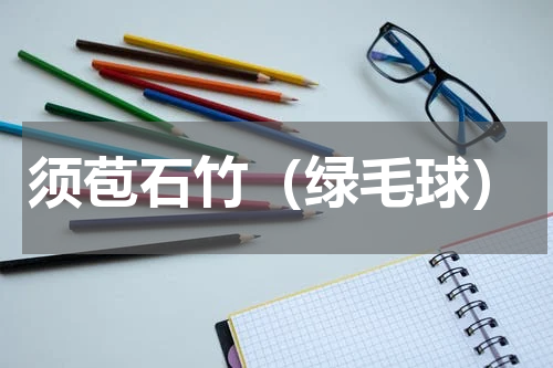 须苞石竹（绿毛球）