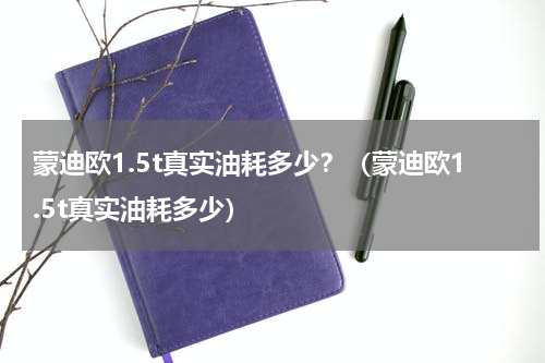 蒙迪欧1.5t真实油耗多少？（蒙迪欧1.5t真实油耗多少）