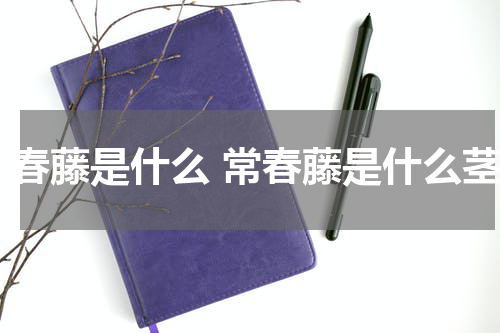 常春藤是什么 常春藤是什么茎