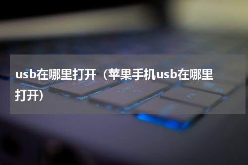 usb在哪里打开（苹果手机usb在哪里打开）