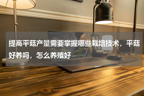 提高平菇产量需要掌握哪些栽培技术，平菇好养吗，怎么养殖好