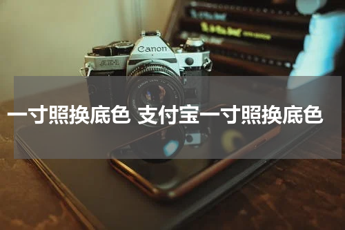 一寸照换底色 支付宝一寸照换底色