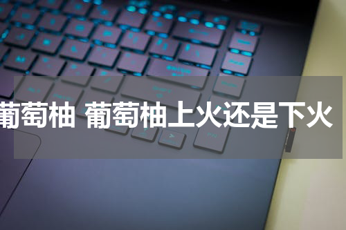 葡萄柚 葡萄柚上火还是下火