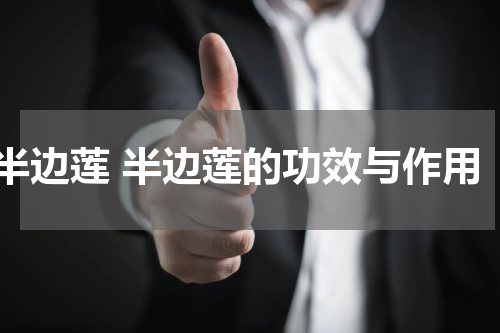 半边莲 半边莲的功效与作用