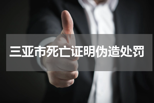 三亚市死亡证明伪造处罚