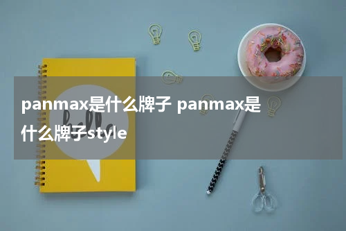 panmax是什么牌子 panmax是什么牌子style