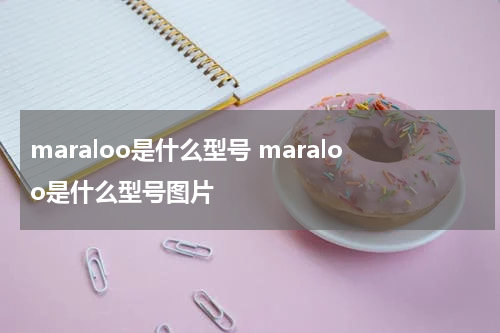 maraloo是什么型号 maraloo是什么型号图片