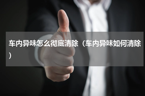 车内异味怎么彻底清除（车内异味如何清除）