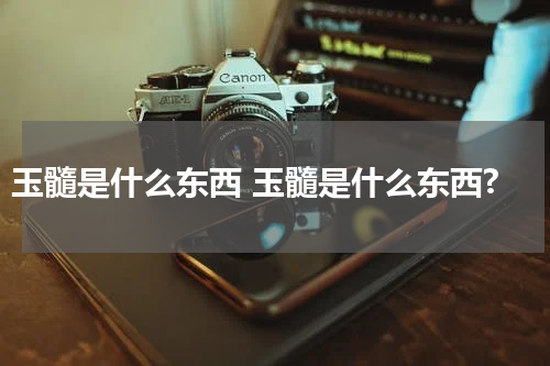 玉髓是什么东西 玉髓是什么东西?