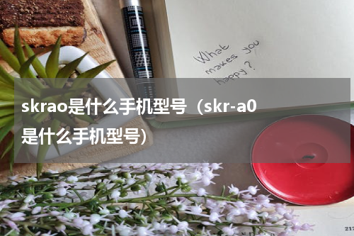 skrao是什么手机型号（skr-a0是什么手机型号）