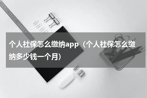 个人社保怎么缴纳app（个人社保怎么缴纳多少钱一个月）