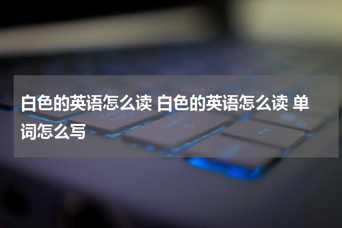 白色的英语怎么读 白色的英语怎么读 单词怎么写