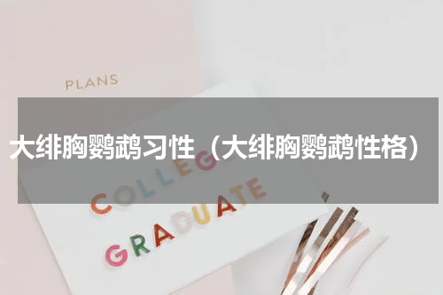 大绯胸鹦鹉习性（大绯胸鹦鹉性格）