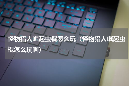 怪物猎人崛起虫棍怎么玩（怪物猎人崛起虫棍怎么玩啊）