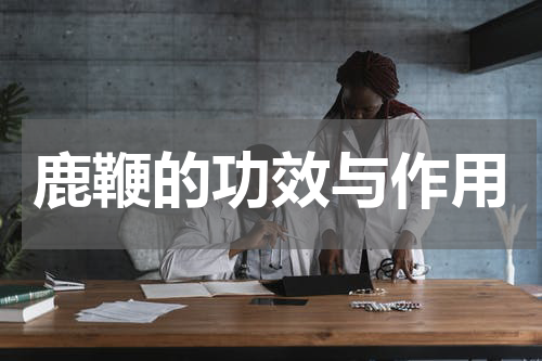 鹿鞭的功效与作用