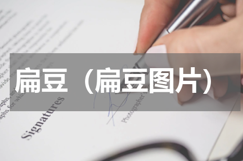 扁豆（扁豆图片）