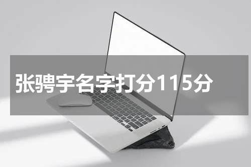 张骋宇名字打分115分
