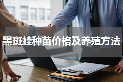 黑斑蛙种苗价格及养殖方法