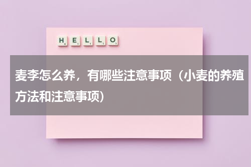 麦李怎么养，有哪些注意事项（小麦的养殖方法和注意事项）