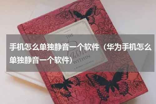 手机怎么单独静音一个软件（华为手机怎么单独静音一个软件）