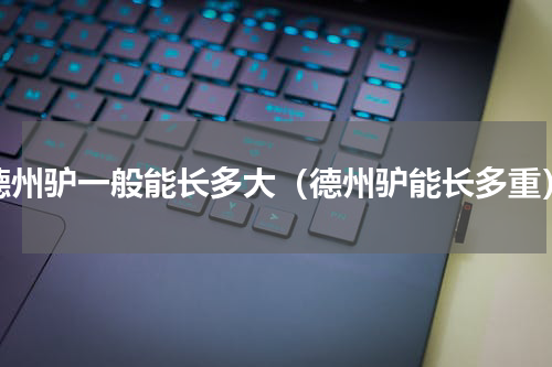 德州驴一般能长多大（德州驴能长多重）