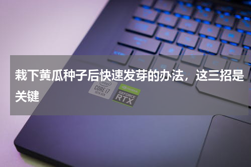 栽下黄瓜种子后快速发芽的办法，这三招是关键