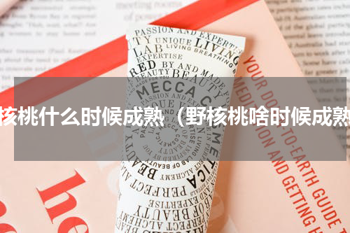 野核桃什么时候成熟（野核桃啥时候成熟）