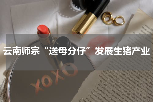 云南师宗“送母分仔”发展生猪产业