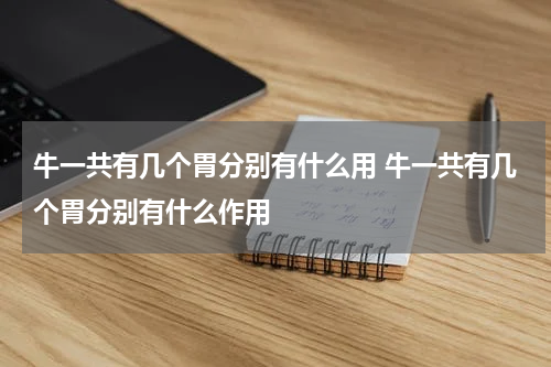 牛一共有几个胃分别有什么用 牛一共有几个胃分别有什么作用