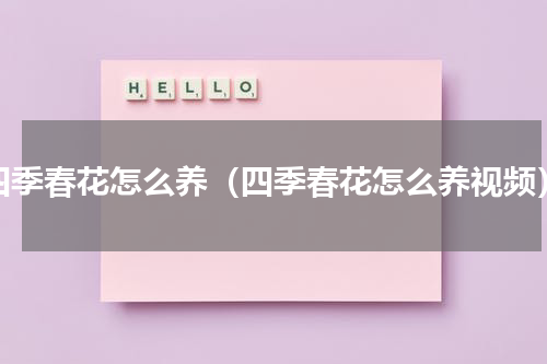 四季春花怎么养（四季春花怎么养视频）