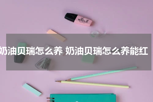 奶油贝瑞怎么养 奶油贝瑞怎么养能红