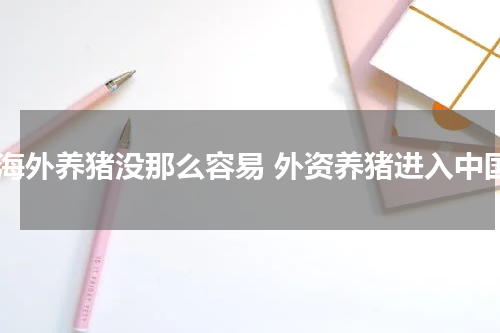 到海外养猪没那么容易 外资养猪进入中国