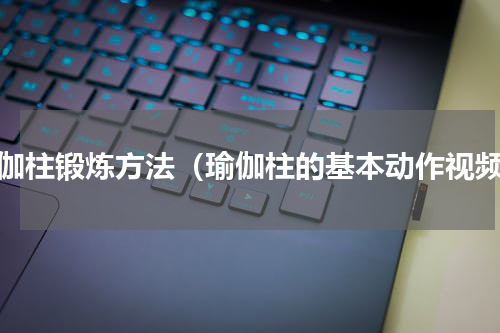 瑜伽柱锻炼方法（瑜伽柱的基本动作视频）