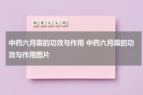 中药六月霜的功效与作用 中药六月霜的功效与作用图片