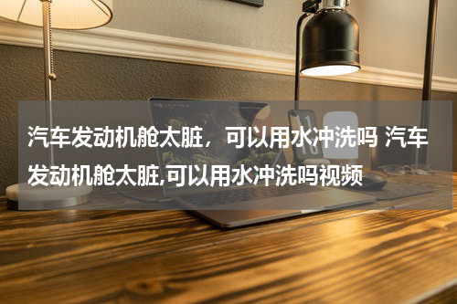 汽车发动机舱太脏，可以用水冲洗吗 汽车发动机舱太脏,可以用水冲洗吗视频