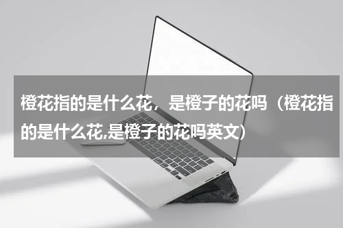 橙花指的是什么花，是橙子的花吗（橙花指的是什么花,是橙子的花吗英文）