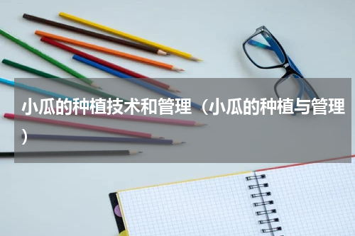 小瓜的种植技术和管理（小瓜的种植与管理）