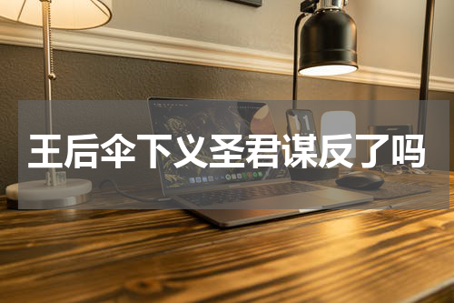 王后伞下义圣君谋反了吗