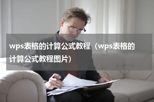 wps表格的计算公式教程（wps表格的计算公式教程图片）